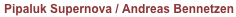 shapeimage_2_link_125