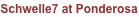 shapeimage_2_link_133