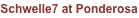 shapeimage_2_link_137