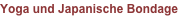 shapeimage_2_link_15