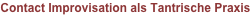 shapeimage_2_link_157