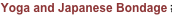 shapeimage_2_link_17