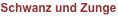 shapeimage_2_link_44