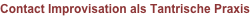 shapeimage_2_link_59