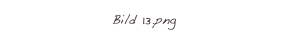 Bild 13.png