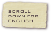 SCROLL DOWN FOR ENGLISH
